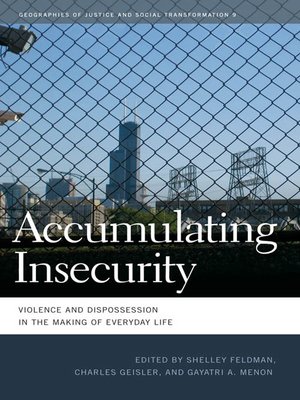 cover image of Accumulating Insecurity